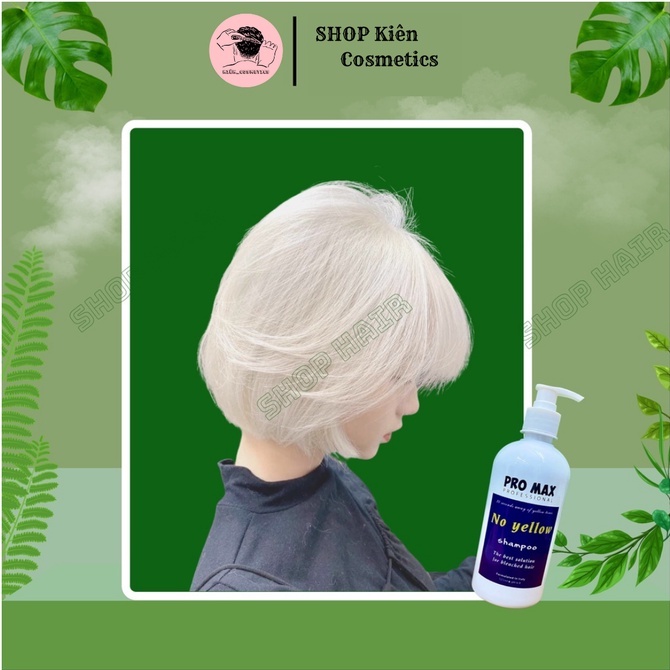 Dầu gội tím Promax, dầu gội khử vàng và giữ màu dành cho tóc tẩy nhuộm màu thời trang