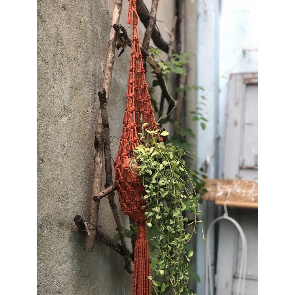 Dây treo chậu cây lưới trang trí decor sân vườn