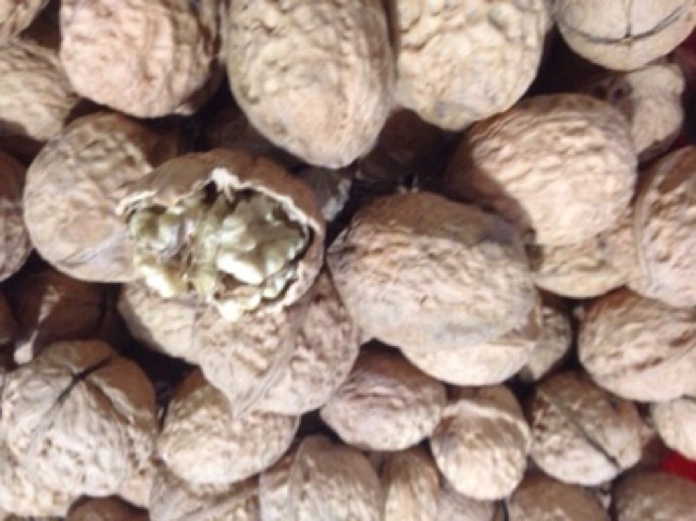 Óc chó khô núi rừng sapa 1 kg