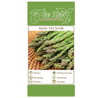 Hạt giống măng tây xanh_10 hạt The Xanh Garden Supply