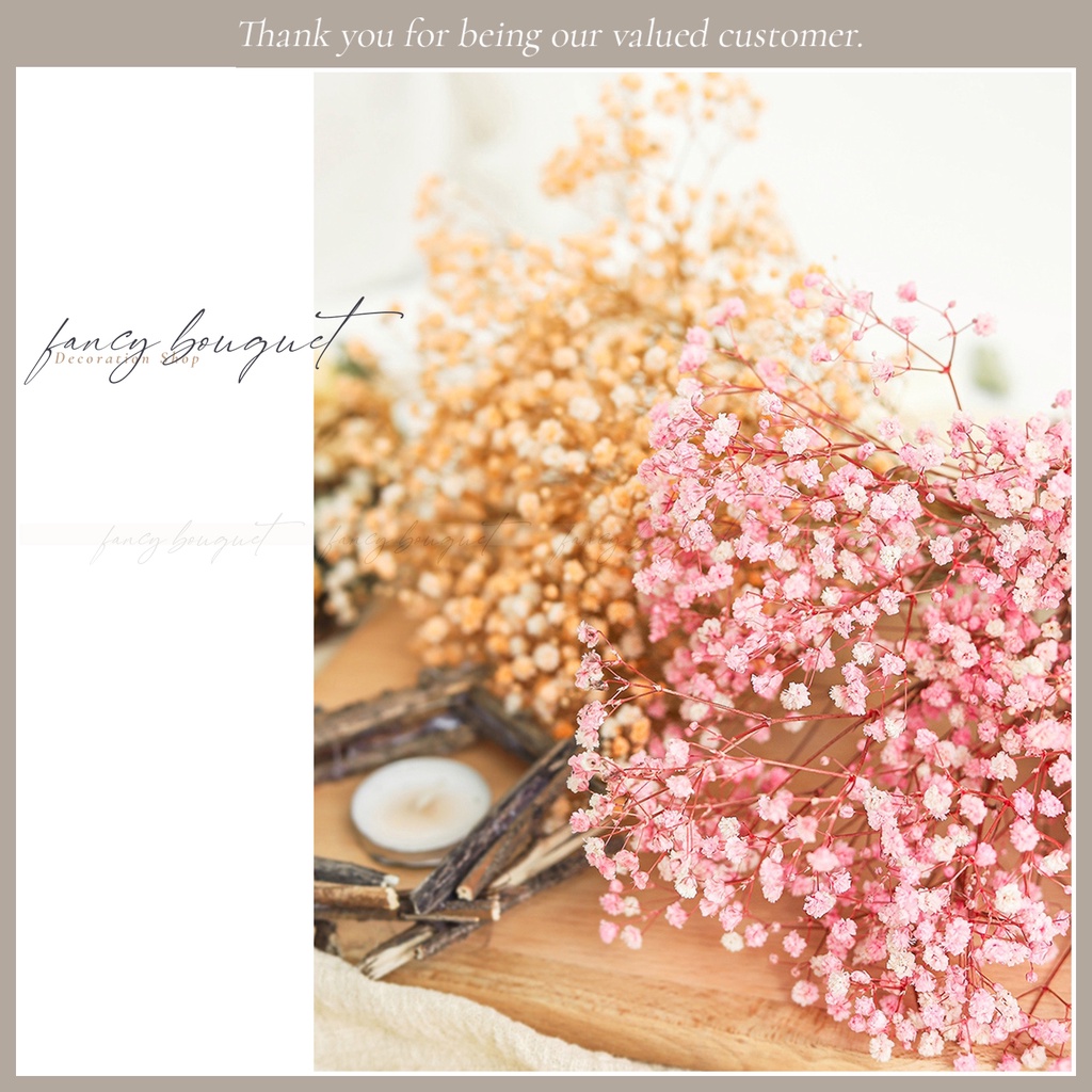 Hoa baby khô ❤️FREESHIP❤️ Gypsophila trang trí decor chụp ảnh