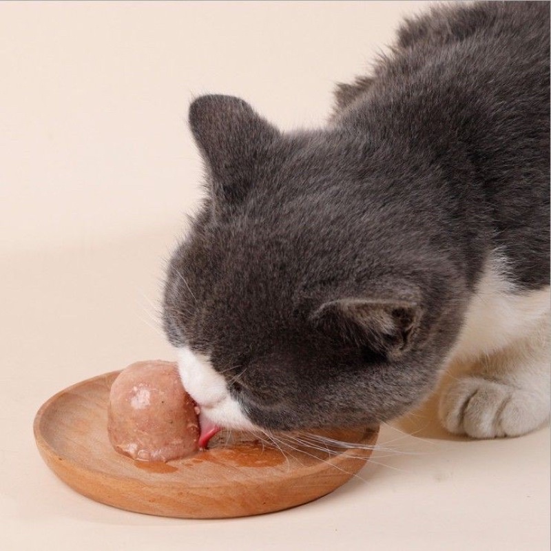 [ 1 viên x 25g ] Pudding Dinh Dưỡng Hải Sản Cho Mèo
