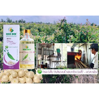 Tinh Dầu Tràm Huế