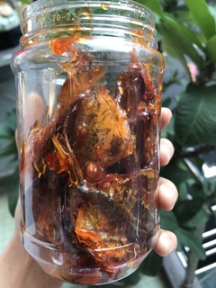 Hộp 500gr cá chỉ vàng rim