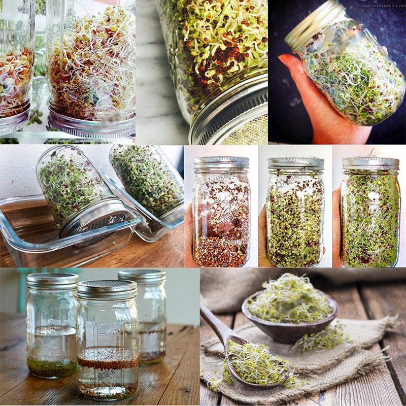 Hũ Mầm Non Với Nắp Đậy Bằng Thép Không Gỉ 304 Cho Máy Nghiền Hạt Đậu Alfalfa