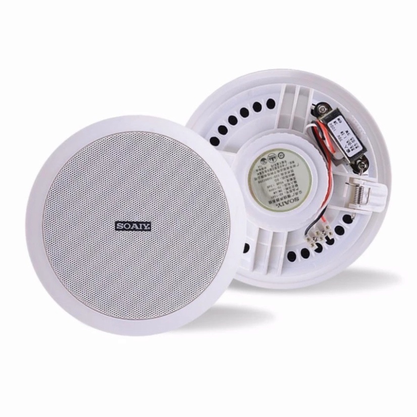 Loa ốp trần âm tường SOAIY XD-1541