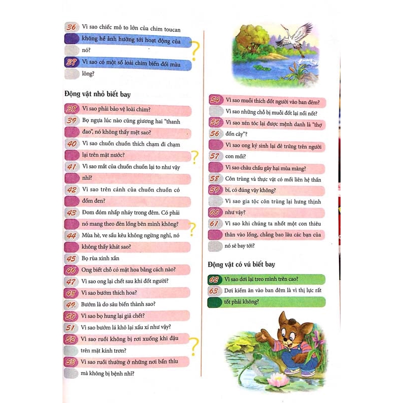 Sách - 10 Vạn Câu Hỏi Vì Sao Dành Cho Thiếu Nhi_Chim Yến, Chuồn Chuồn Và Đom Đóm