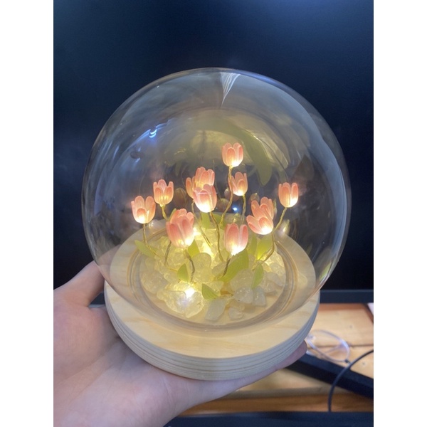 Bộ nguyên liệu tự làm đèn hoa tulip trang trí