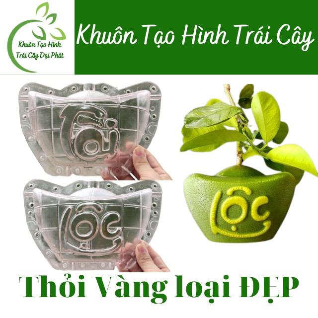Khuôn Bưởi Tài Lộc Khuôn Tạo Hình Trái Cây,Thỏi Vàng Cho Bưởi, Dưa Hấu, khuôn quất thỏi vàng