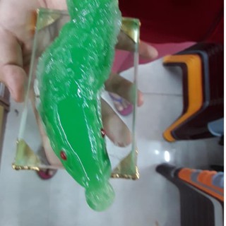 cá kim long phong thuỷ