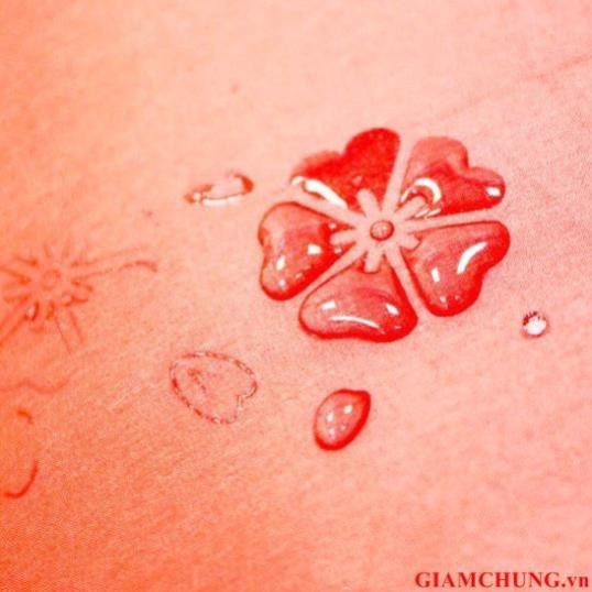 Ô gặp nước nở hoa