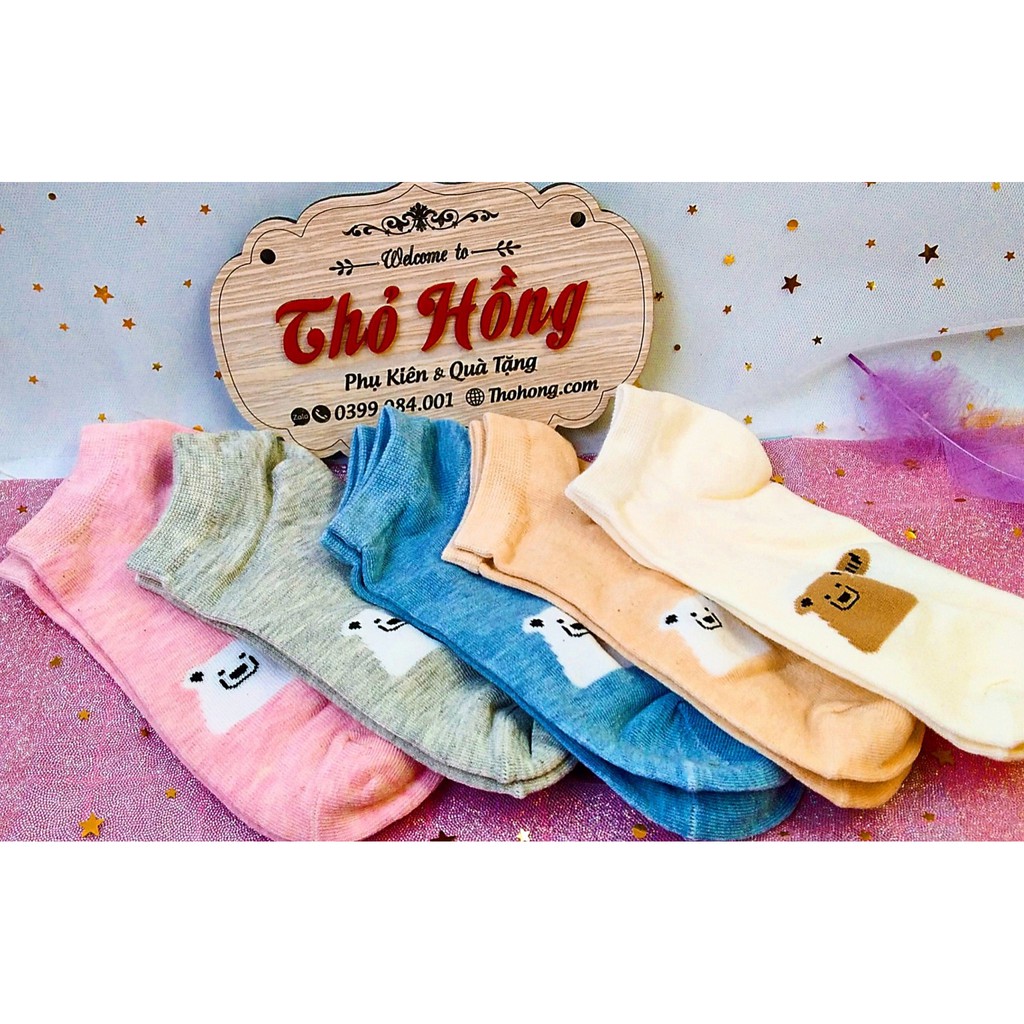 Tất vớ hình con gấu