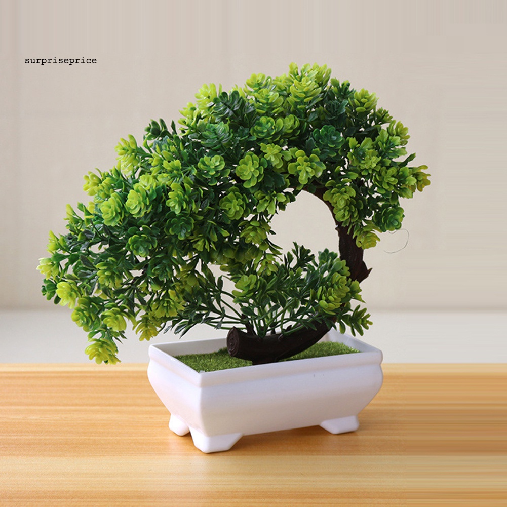 Chậu Cây Bonsai Giả Trang Trí Nhà Cửa