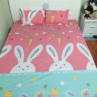 Bộ Drap cotton poly 