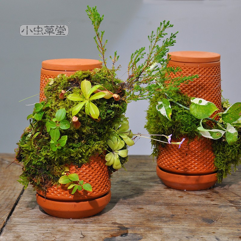 Tháp cây đứng TERRAPLANTER gốm trồng cây dương sỉ rêu tự thẩm thấu thủy canh nhiều lỗ DOOA TERRARIUM - TERRA-02