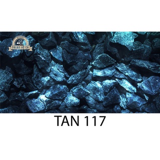 Tranh dán hồ cá tan 117