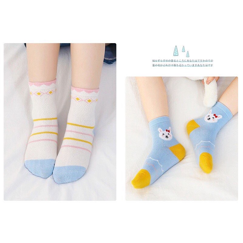 Set 5 Đôi Tất Cổ Cao Cotton Hoạt Hình Cho Bé Trai