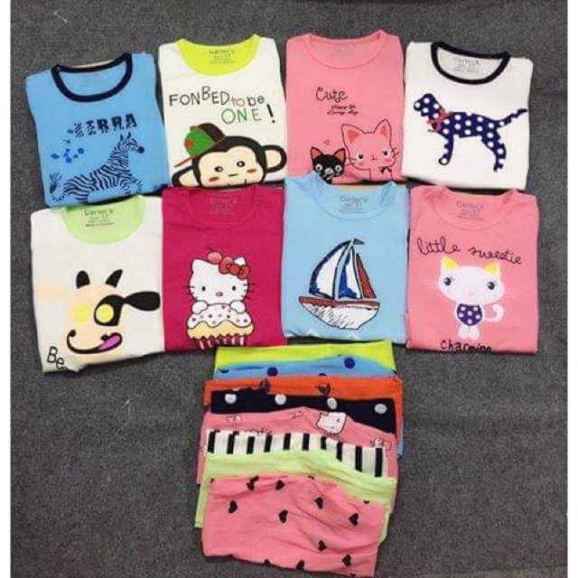 Sỉ 15 bộ thu Cotton