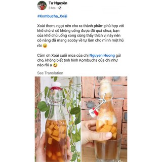 Scoby - nấm thủy sâm, làm dấm trà Kombucha