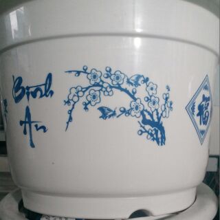 CHẬU NHỰA TRÒN-SUNG TÚC-BÌNH AN-CAO 22Cm RỘNG 32Cm