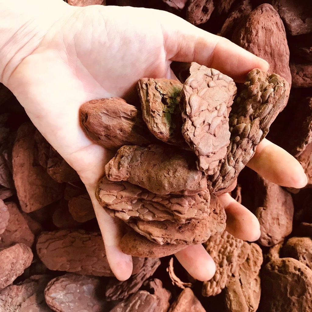 Vỏ thông các size lớn dành cho kiểng lá, gói 1kg  Chuyên Đỗ Shop