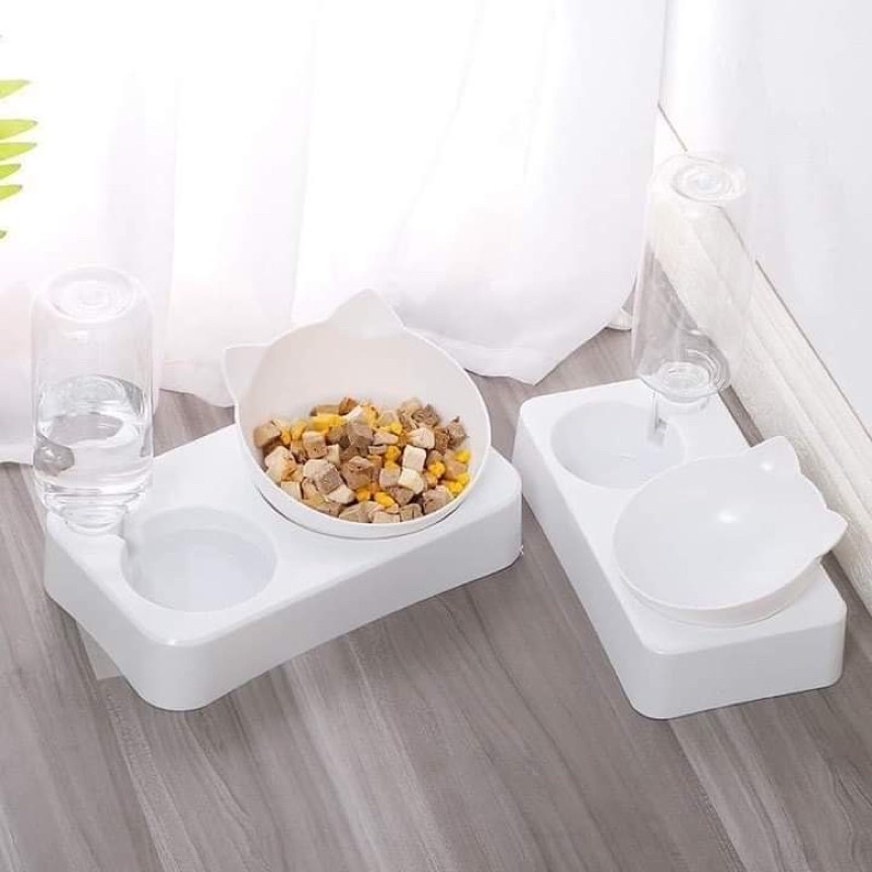 Bát ăn chống gù cho thú cưng