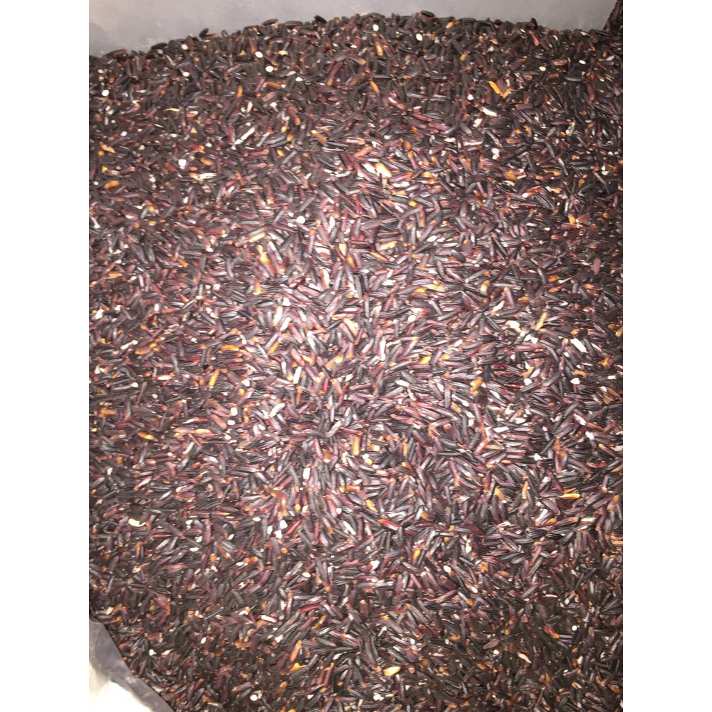 Gạo nếp cẩm