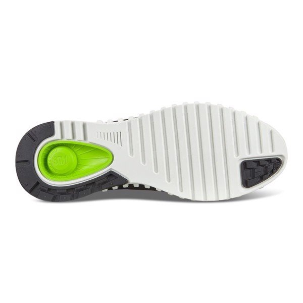 Giày Sneaker Nữ Ecco Zipflex W 80374301007