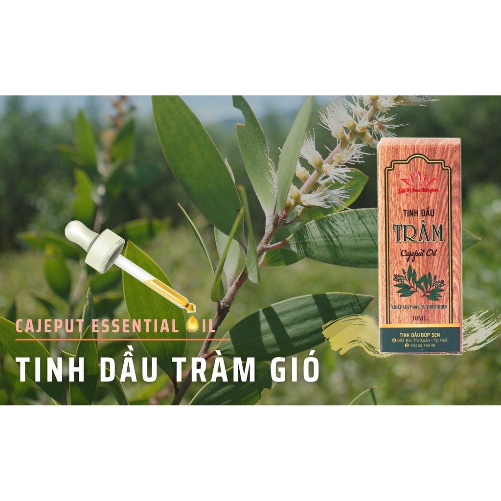 [Tinh dầu Tràm Huế] NGUYÊN CHẤT Búp Sen 50ml - Tinh dầu tràm gió thiên nhiên chăm sóc sức khỏe cho bé