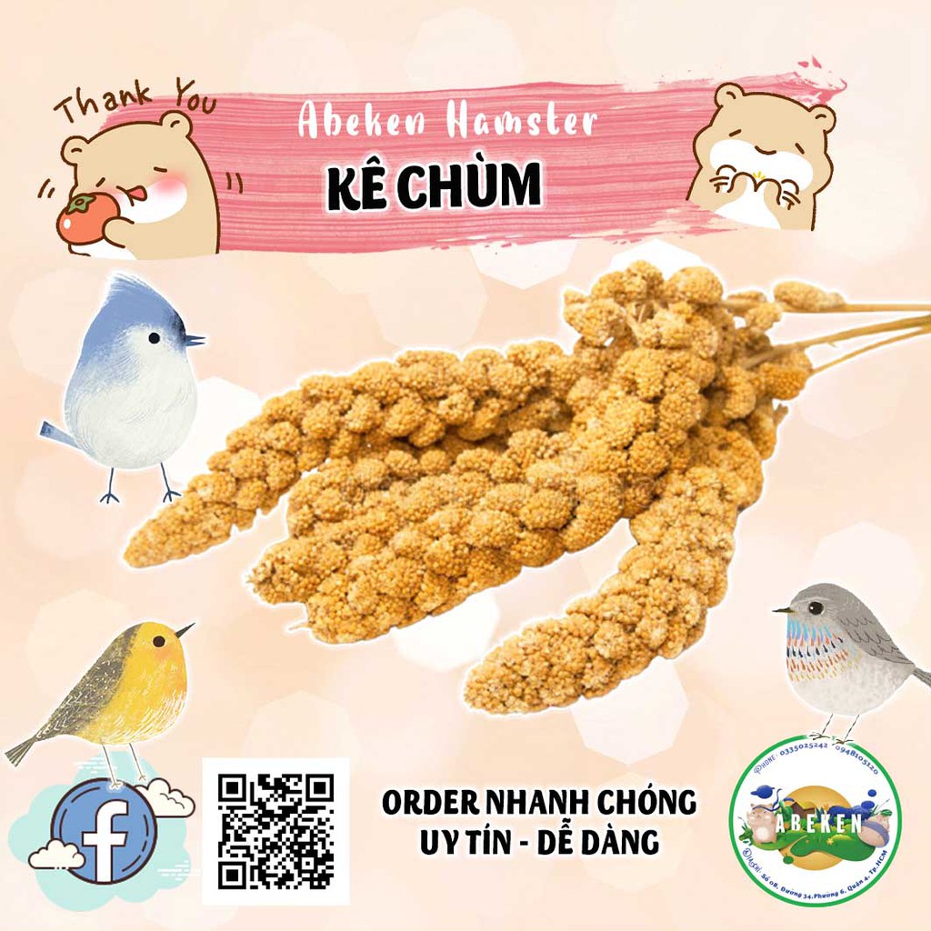 Kê chùm - giúp mượt lông dài lông cho hamster