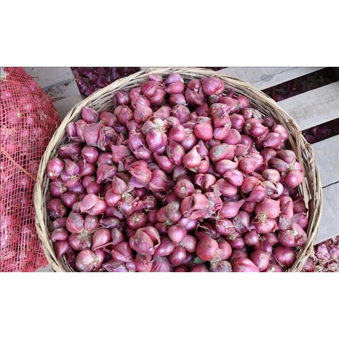 Hành Tím Khô -Loại 1 Củ To Chắc Dễ Bóc Hàng Chất Lượng , thơm ngon , chắc nịch chống dịch covid