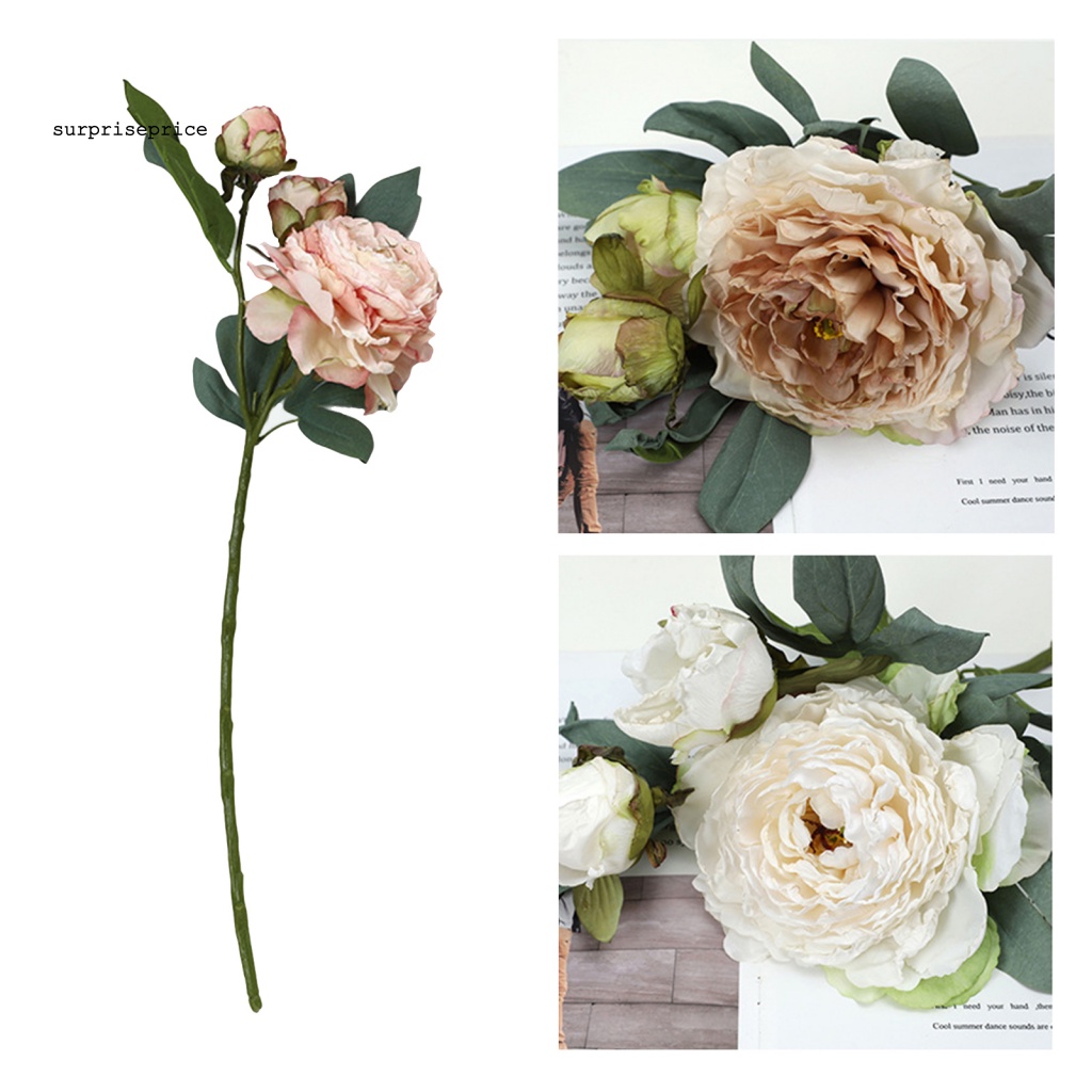 Bó Hoa Mẫu Đơn Nhân Tạo Không Phai Màu Có Thể Tái Sử Dụng Trang Trí Nhà Cửa /