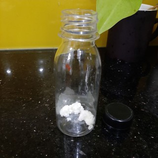 Nấm sữa Kefir