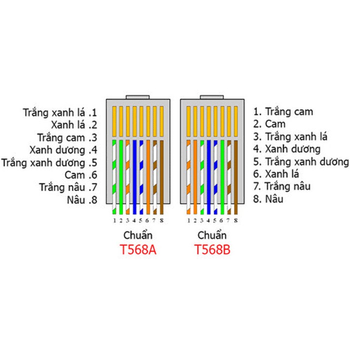 Hạt Mạng RJ45, Đầu Bấm Mạng,Jack Cắm Mạng