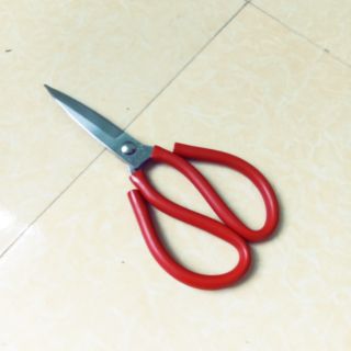 Kéo cắt gà inox sịn