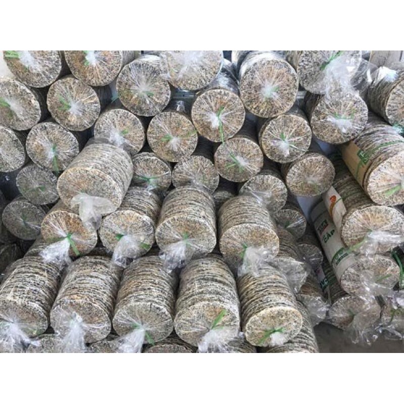 100 chiếc bánh đa Đô Lương siêu ngon