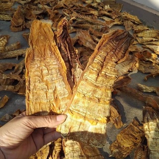 Măng nứa rừng Sơn la