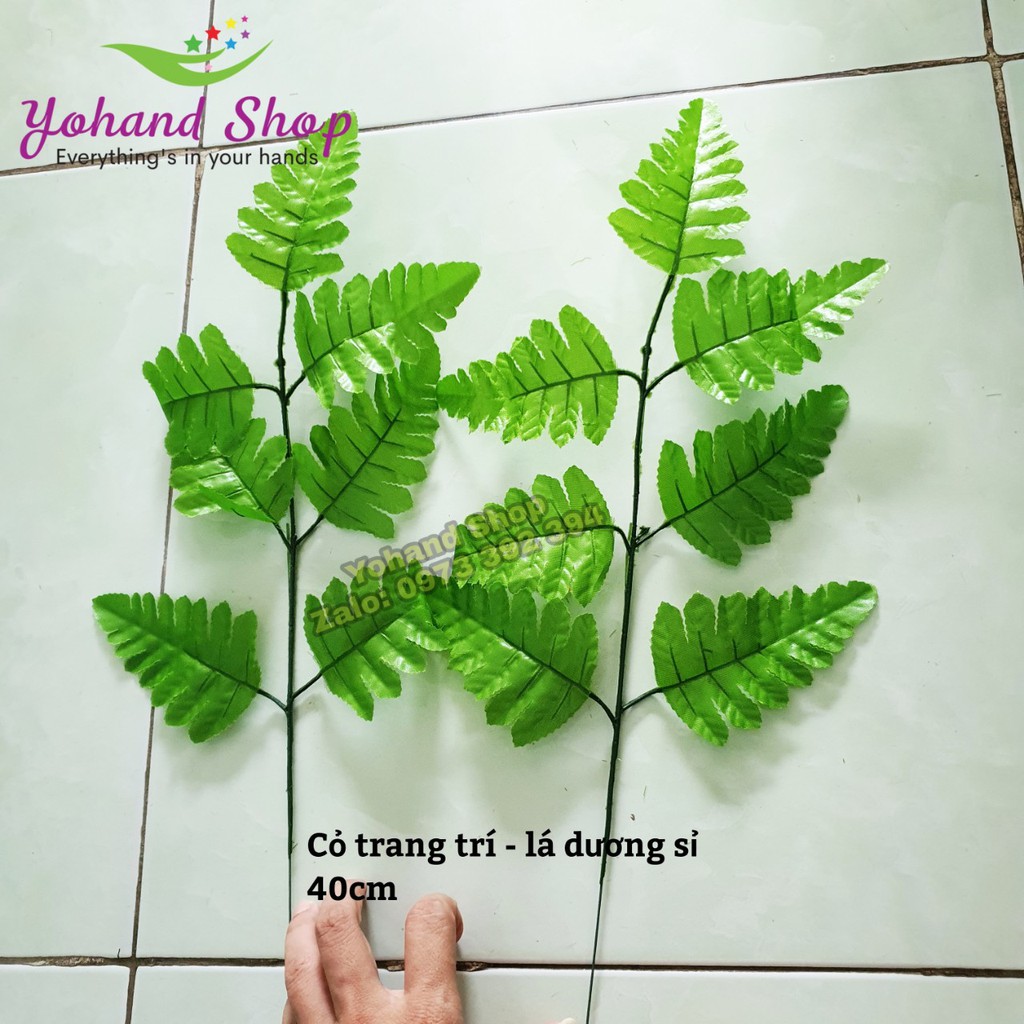 Lá dương sỉ (Giá1 cành)