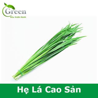 Hạt Giống Hẹ Lá Cao Sản Thu Hoạch Quanh Năm, Dễ Trồng Chăm Sóc