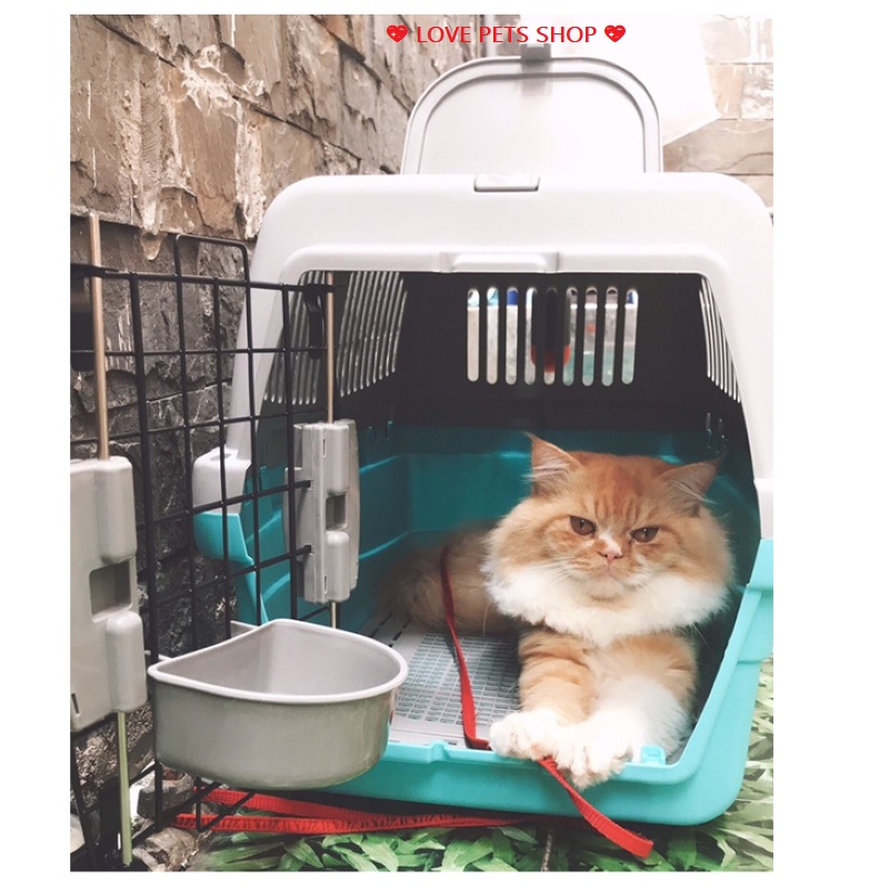 LỒNG VẬN CHUYỂN CHÓ MÈO ĐƯỜNG HÀNG KHÔNG, ĐƯỜNG TÀU (MẪU MỚI) -  LOVE PETS SHOP