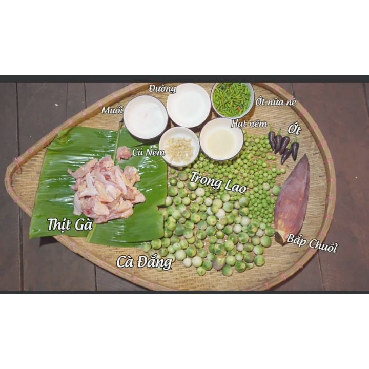 Hạt giống cà đắng Tây Nguyên CT75 - Gói 20 hạt