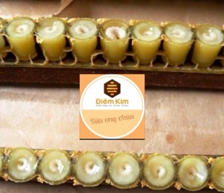 Combo 2 Hũ Sữa Ong Chúa Tươi Tặng Cọ Đắp Mặt
