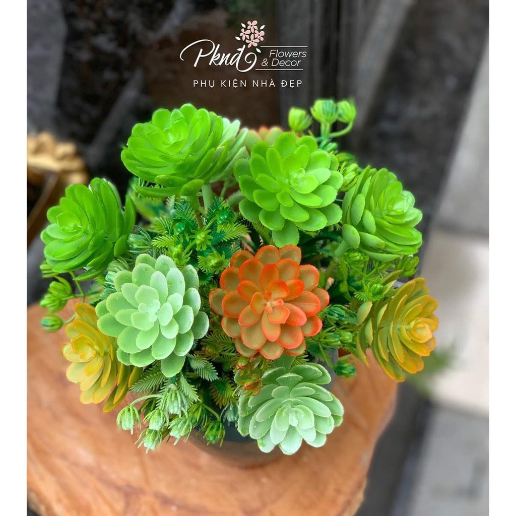 HOA GIẢ 🌺 HOA SEN ĐÁ GIẢ CÀNH 5 BÔNG