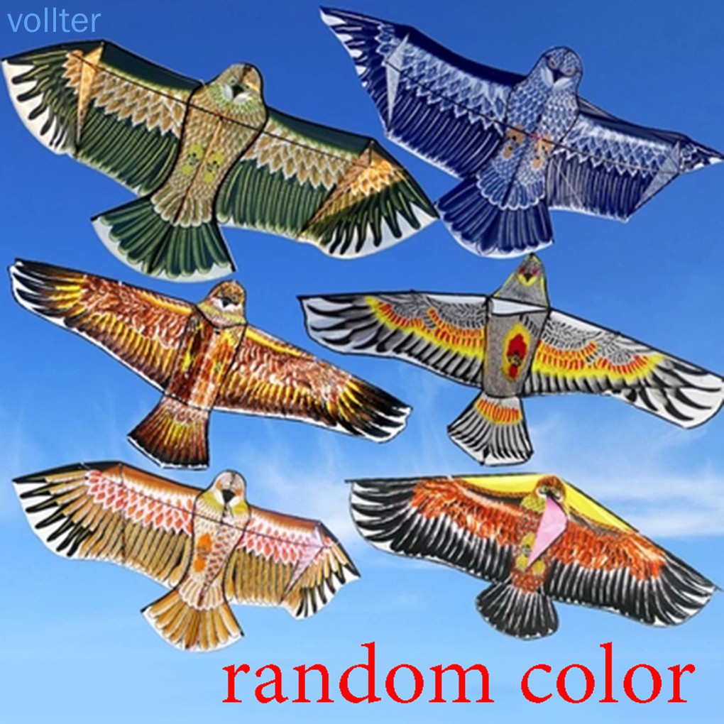 Diều hình chim đại bàng 1.1m 30m màu sắc gửi ngẫu nhiên dành cho các bé