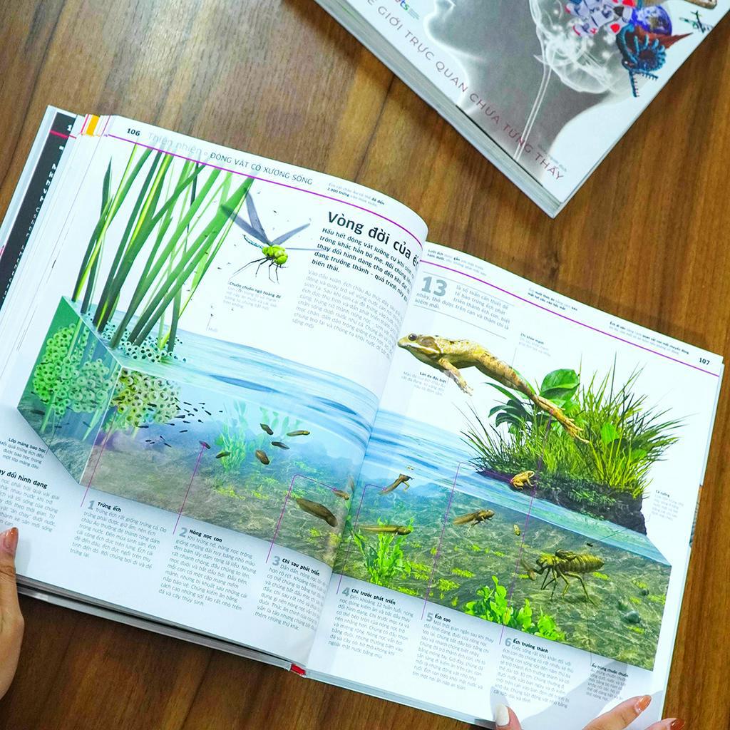 Sách: DK - Tri Thức Về Vạn Vật: Một Thế Giới Trực Quan Chưa Từng Thấy