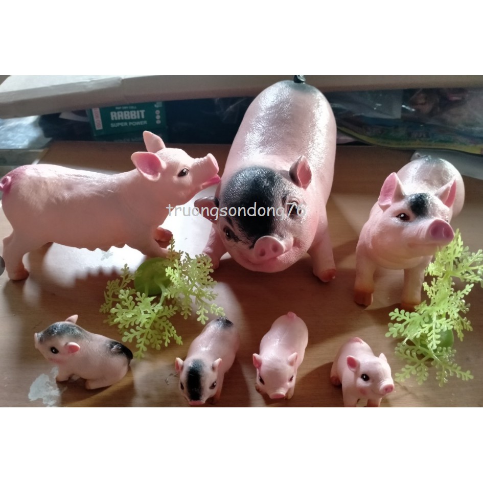 Đàn lợn mẹ con tuyệt đẹp có nhạc cho bé