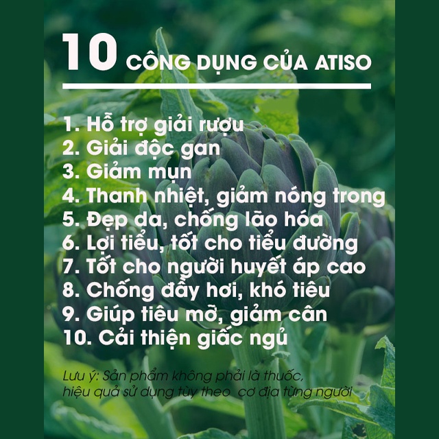 Trà túi lọc Atiso Đà Lạt Thượng Hạng, Combo 2 hộp 100 túi lọc hỗ trợ thanh nhiệt giải độc