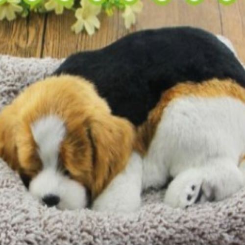 THAN HOẠT TÍNH KHỬ MÙI HÌNH CHÚ CHÓ TAM THỂ TRANG TRÍ TAPLO Ô TÔ LOẠI LỚN 28CM X 21CM