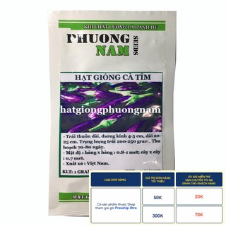 1GR - HẠT GIỐNG CÀ TÍM DÀI