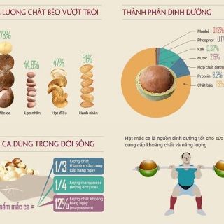 Hạt Mắc Ca